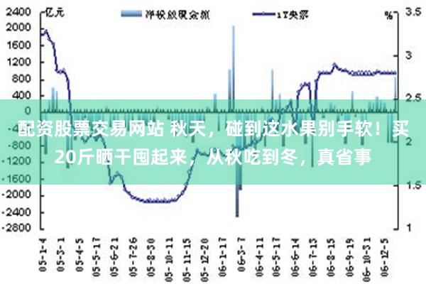 配资股票交易网站 秋天，碰到这水果别手软！买20斤晒干囤起来，从秋吃到冬，真省事