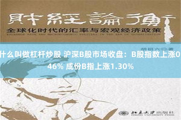 什么叫做杠杆炒股 沪深B股市场收盘：B股指数上涨0.46% 成份B指上涨1.30%