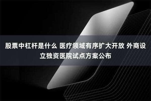 股票中杠杆是什么 医疗领域有序扩大开放 外商设立独资医院试点方案公布