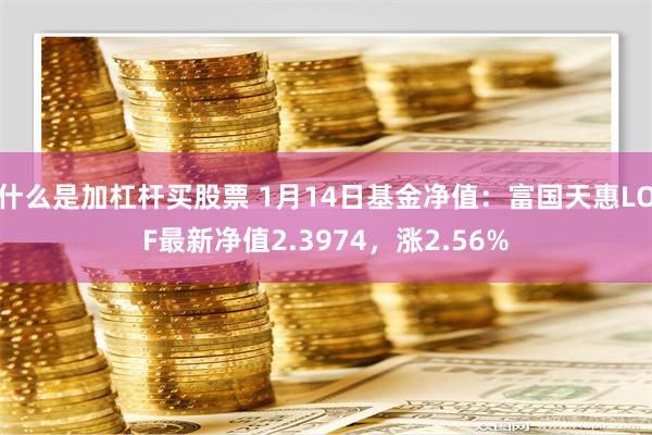 什么是加杠杆买股票 1月14日基金净值：富国天惠LOF最新净值2.3974，涨2.56%