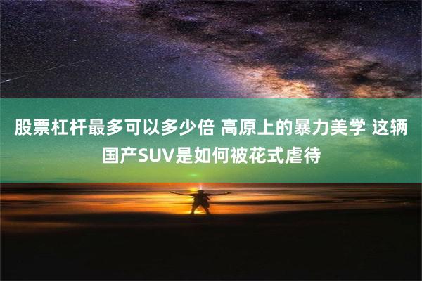 股票杠杆最多可以多少倍 高原上的暴力美学 这辆国产SUV是如何被花式虐待